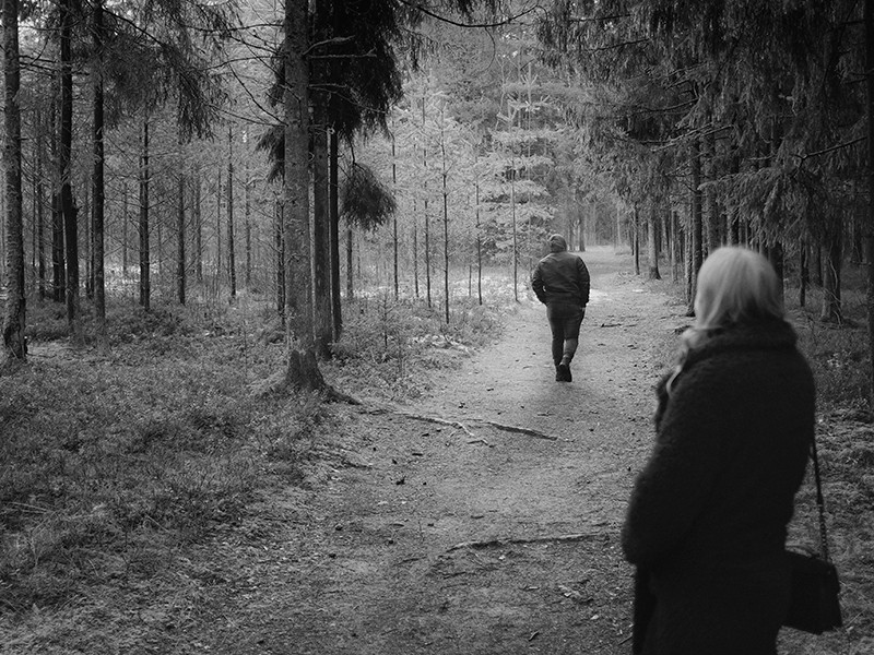Initial situation - a woodland, studio substrata, Reinis Salins, Igors Malovickis