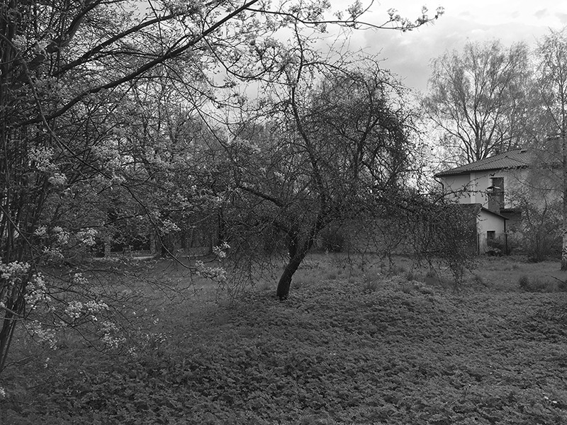 Initial situation, an empty land plot with overgrown greenery, studio substrata, Reinis Salins, Igors Malovickis
