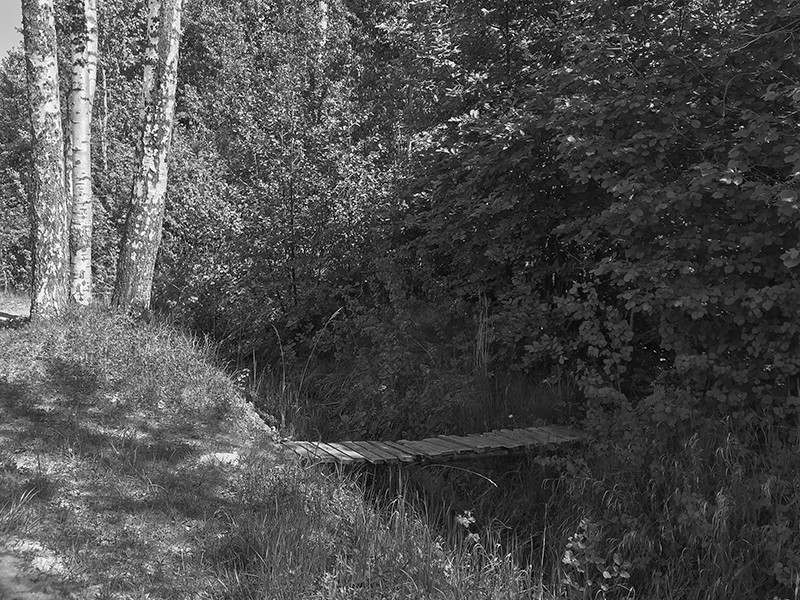 Initial situation, an empty land plot with overgrown greenery and a small foot bridge over a ditch, studio substrata, Reinis Salins, Igors Malovickis